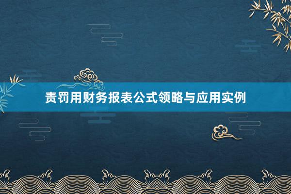 责罚用财务报表公式领略与应用实例