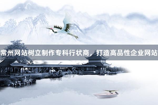 常州网站树立制作专科行状商，打造高品性企业网站