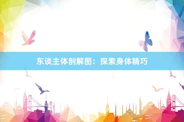 东谈主体剖解图：探索身体精巧