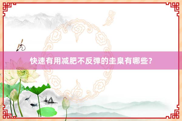 快速有用减肥不反弹的圭臬有哪些？