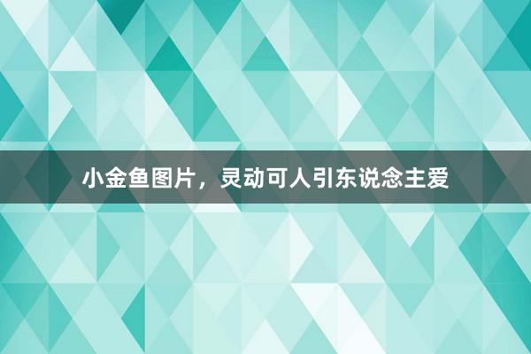 小金鱼图片，灵动可人引东说念主爱